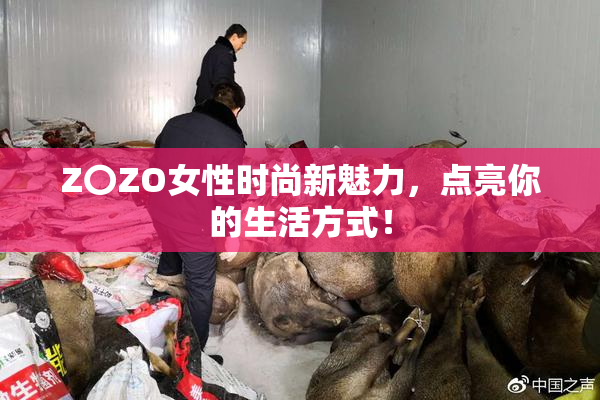 Z〇ZO女性时尚新魅力，点亮你的生活方式！