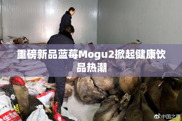 重磅新品蓝莓Mogu2掀起健康饮品热潮