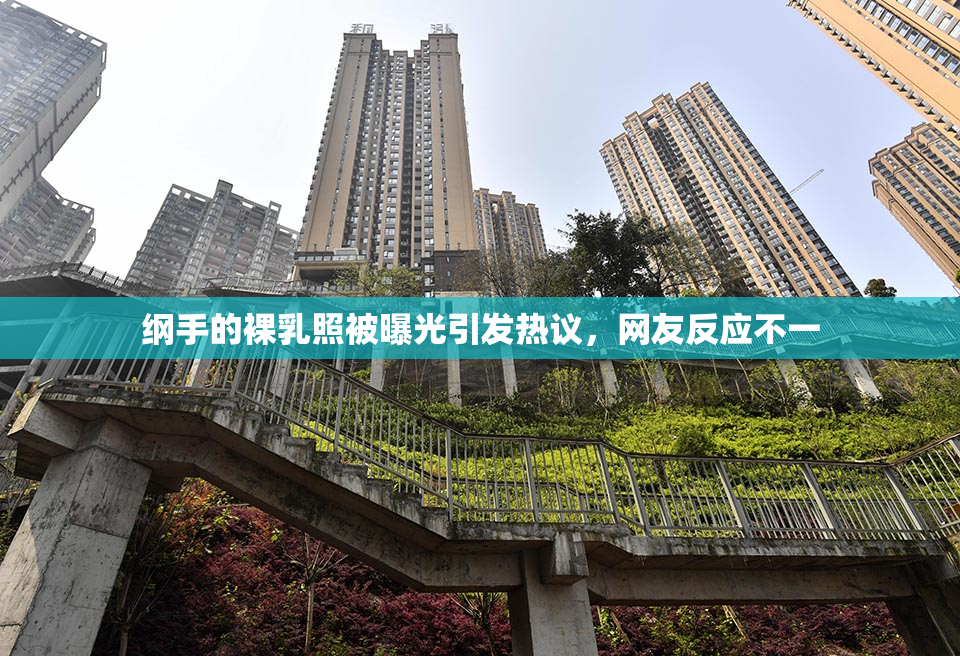 纲手的裸乳照被曝光引发热议，网友反应不一