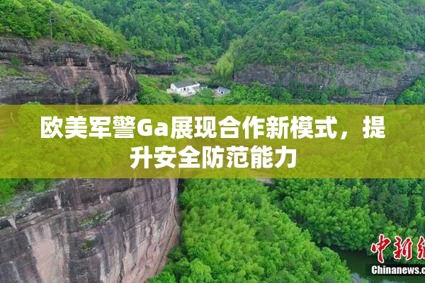 欧美军警Ga展现合作新模式，提升安全防范能力