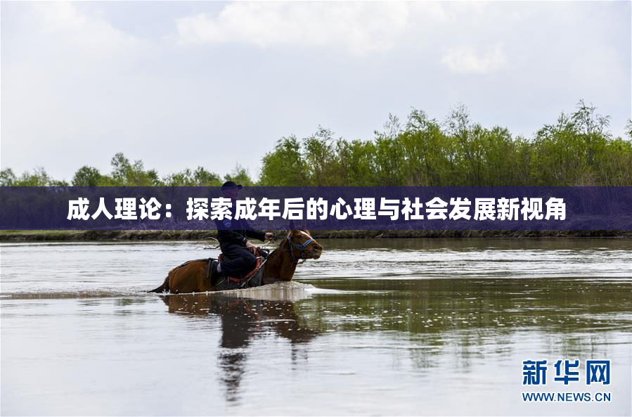 成人理论：探索成年后的心理与社会发展新视角