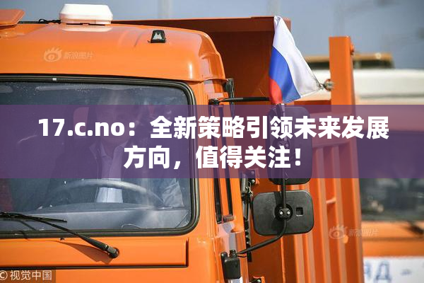 17.c.no：全新策略引领未来发展方向，值得关注！