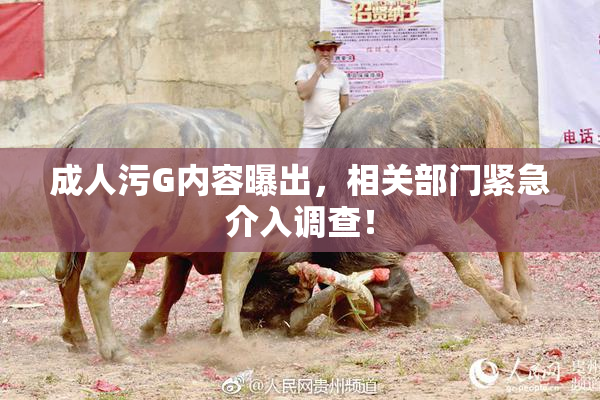 成人污G内容曝出，相关部门紧急介入调查！