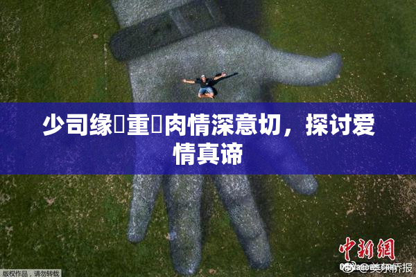 少司缘婬重泬肉情深意切，探讨爱情真谛