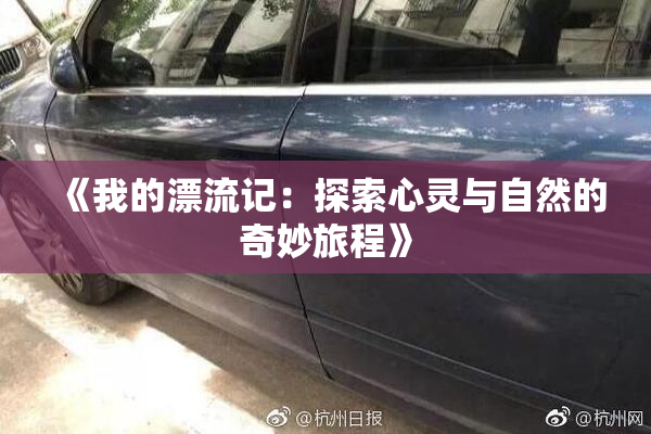《我的漂流记：探索心灵与自然的奇妙旅程》