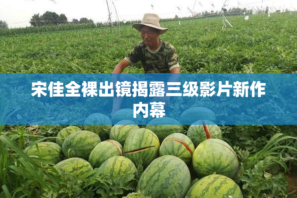 宋佳全裸出镜揭露三级影片新作内幕