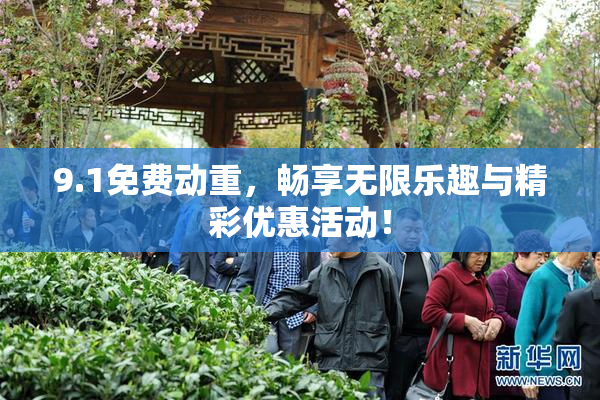 9.1免费动重，畅享无限乐趣与精彩优惠活动！