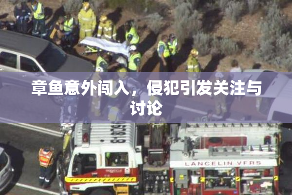 章鱼意外闯入，侵犯引发关注与讨论