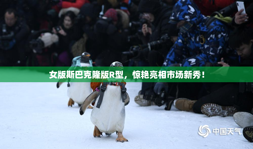 女版斯巴克隆版R型，惊艳亮相市场新秀！