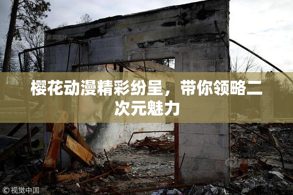 樱花动漫精彩纷呈，带你领略二次元魅力