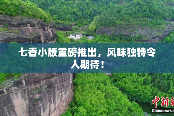 七香小版重磅推出，风味独特令人期待！