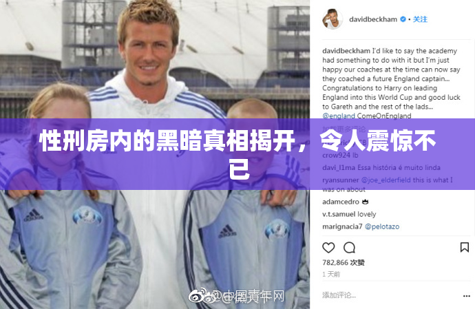 性刑房内的黑暗真相揭开，令人震惊不已