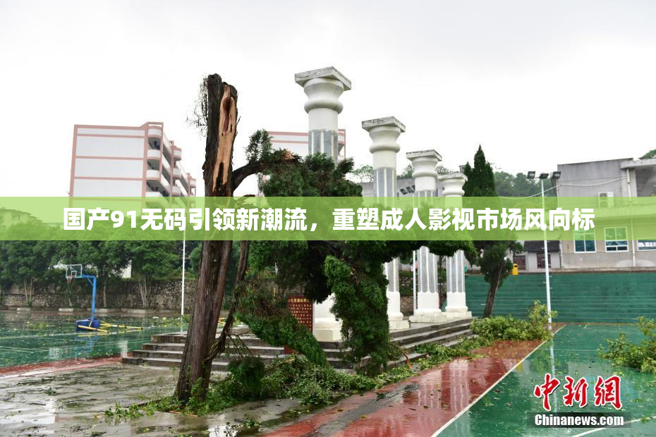 国产91无码引领新潮流，重塑成人影视市场风向标