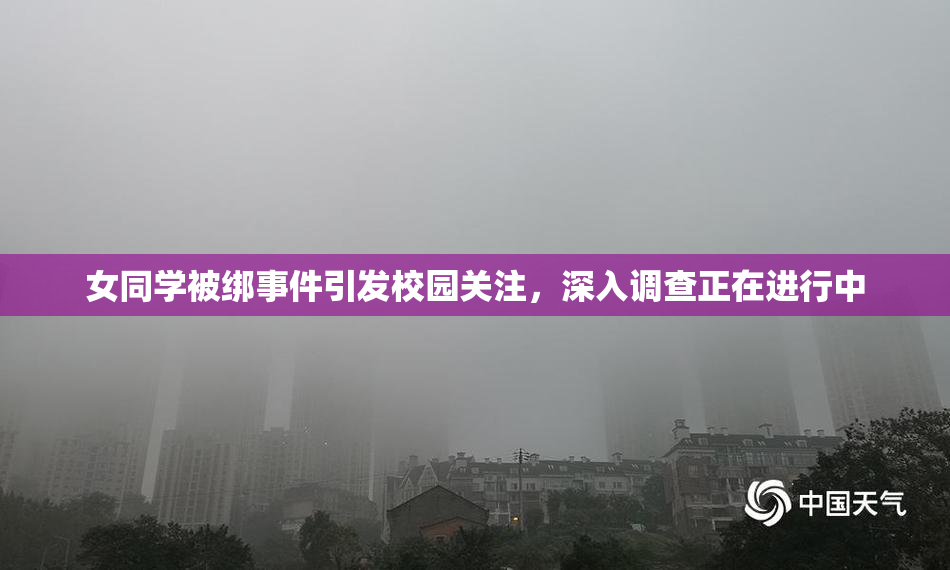 女同学被绑事件引发校园关注，深入调查正在进行中