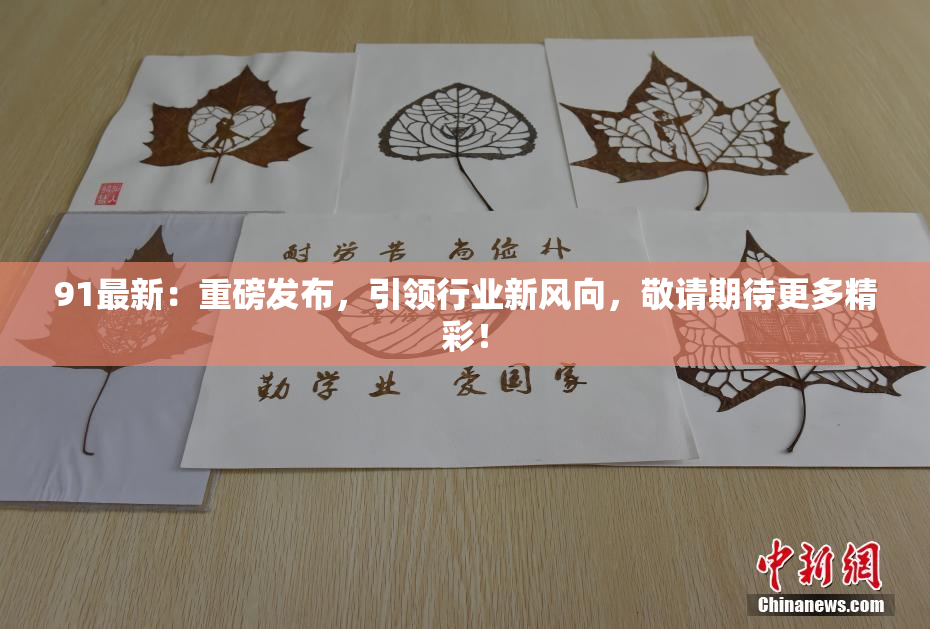 91最新：重磅发布，引领行业新风向，敬请期待更多精彩！