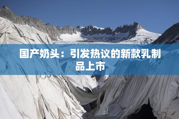 国产奶头：引发热议的新款乳制品上市