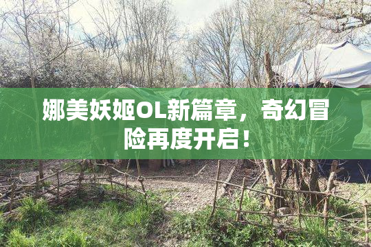 娜美妖姬OL新篇章，奇幻冒险再度开启！
