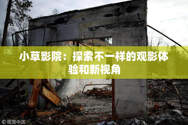 小草影院：探索不一样的观影体验和新视角