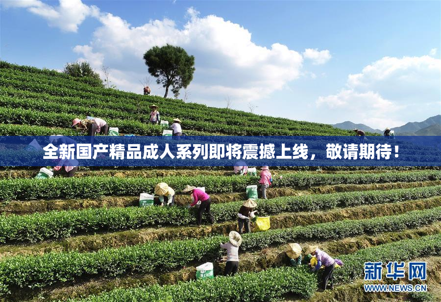 全新国产精品成人系列即将震撼上线，敬请期待！