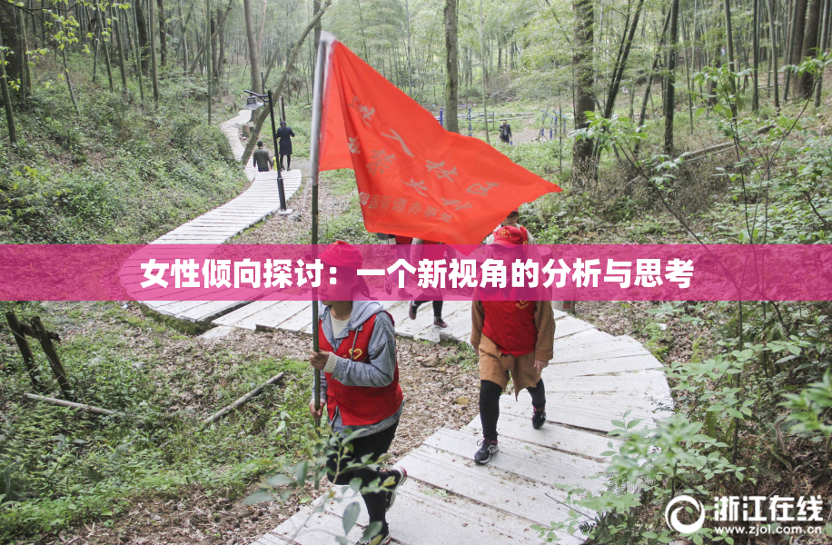 女性倾向探讨：一个新视角的分析与思考