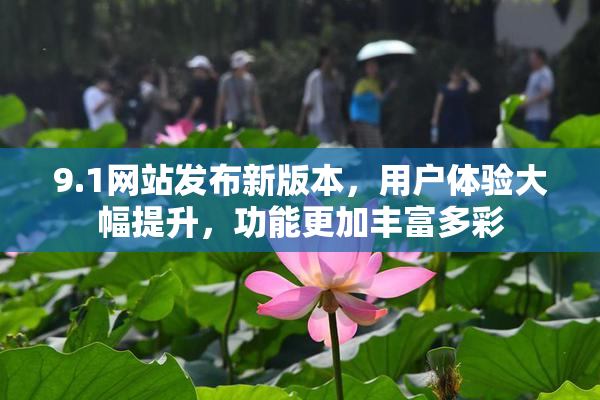 9.1网站发布新版本，用户体验大幅提升，功能更加丰富多彩