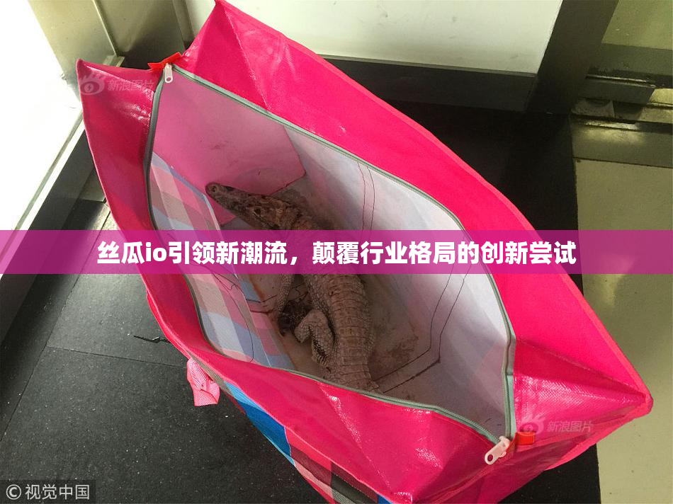 丝瓜io引领新潮流，颠覆行业格局的创新尝试