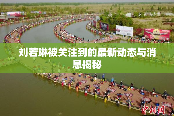 刘若琳被关注到的最新动态与消息揭秘