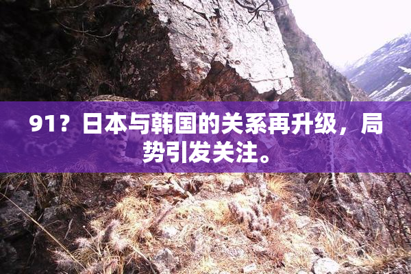 91？日本与韩国的关系再升级，局势引发关注。