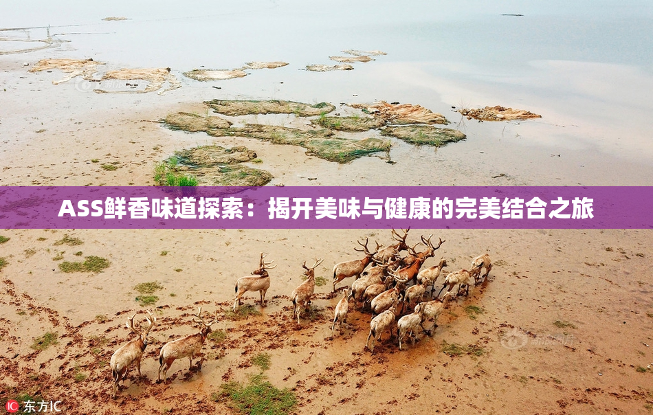 ASS鲜香味道探索：揭开美味与健康的完美结合之旅