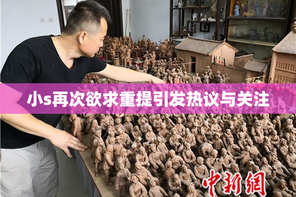 小s再次欲求重提引发热议与关注