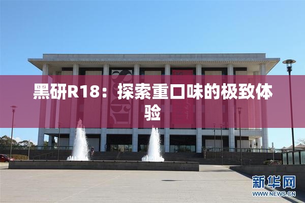 黑研R18：探索重口味的极致体验