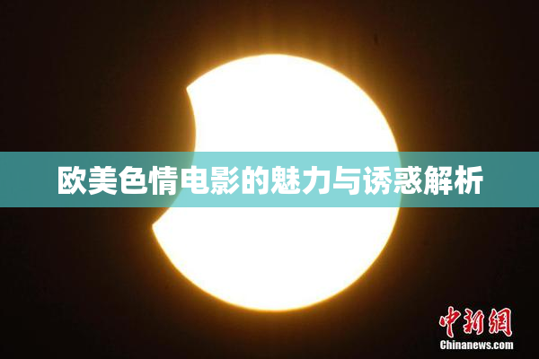欧美色情电影的魅力与诱惑解析