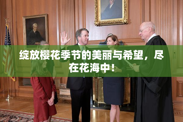 绽放樱花季节的美丽与希望，尽在花海中！