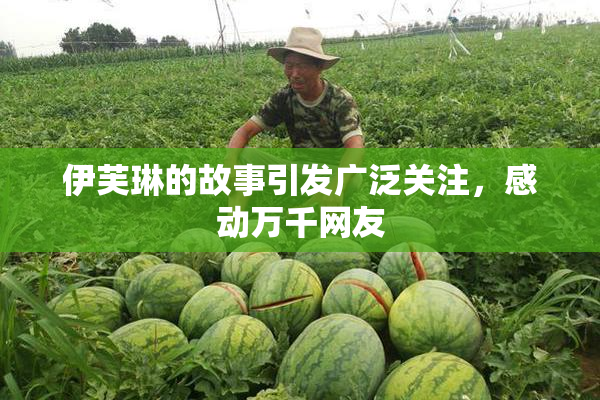伊芙琳的故事引发广泛关注，感动万千网友