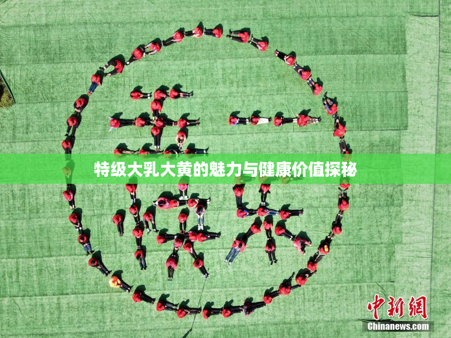 特级大乳大黄的魅力与健康价值探秘