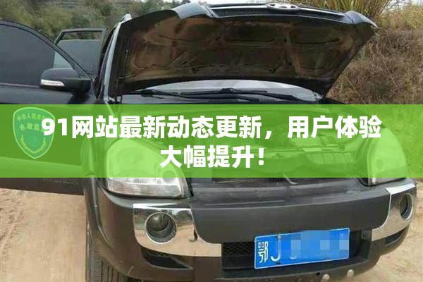 91网站最新动态更新，用户体验大幅提升！