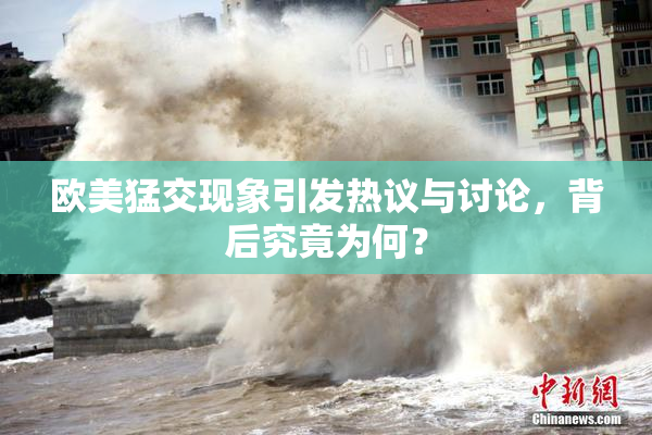 欧美猛交现象引发热议与讨论，背后究竟为何？