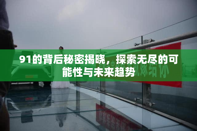 91的背后秘密揭晓，探索无尽的可能性与未来趋势