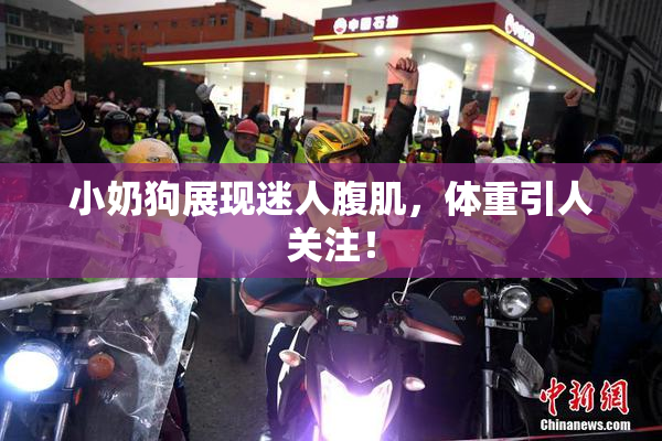 小奶狗展现迷人腹肌，体重引人关注！