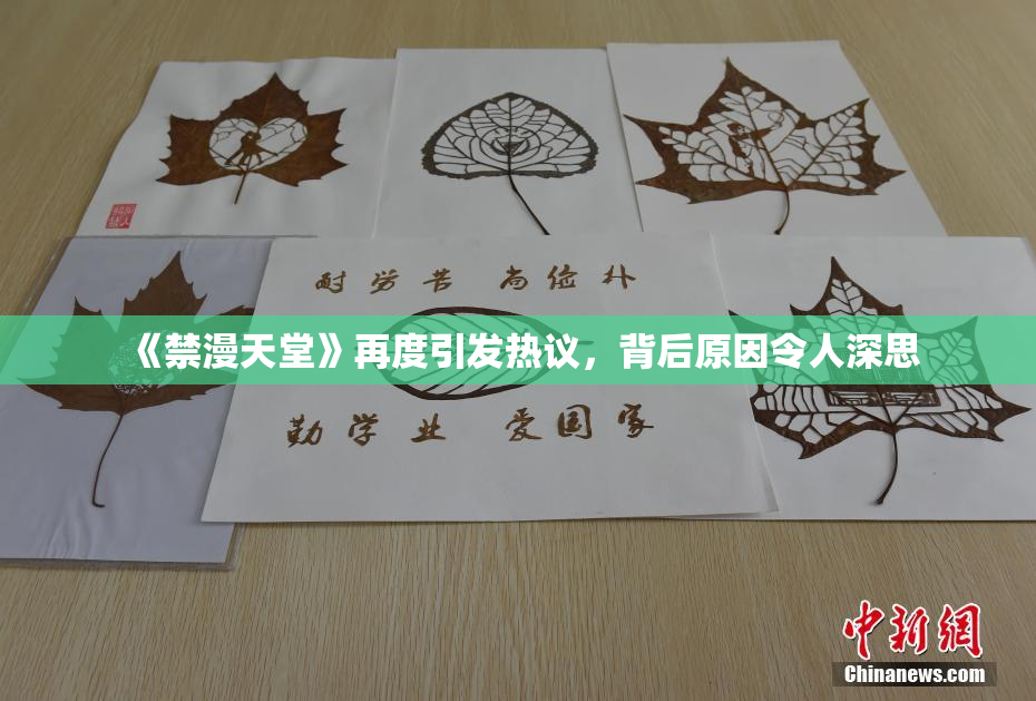 《禁漫天堂》再度引发热议，背后原因令人深思