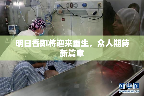 明日香即将迎来重生，众人期待新篇章