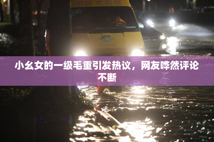 小幺女的一级毛重引发热议，网友哗然评论不断