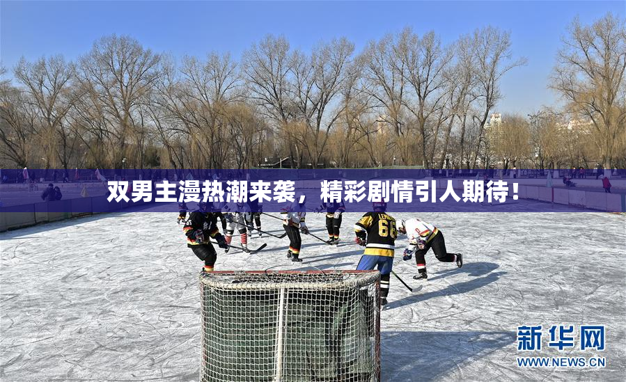 双男主漫热潮来袭，精彩剧情引人期待！