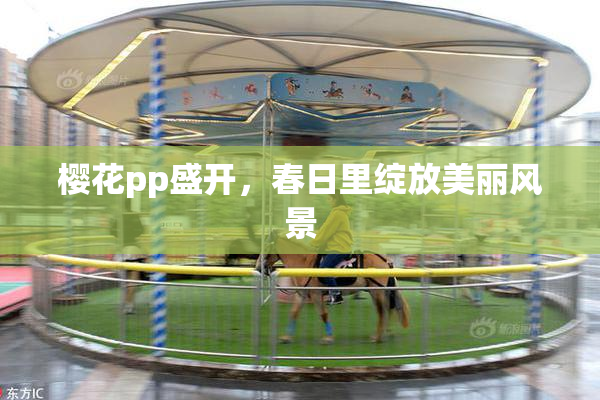 樱花pp盛开，春日里绽放美丽风景