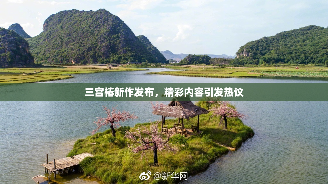 三宫椿新作发布，精彩内容引发热议