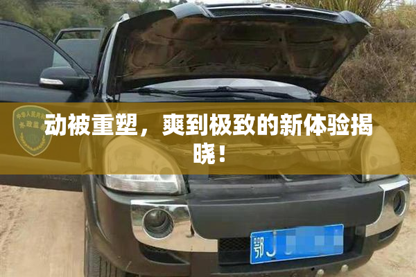 动被重塑，爽到极致的新体验揭晓！