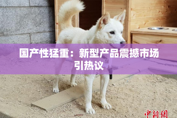 国产性猛重：新型产品震撼市场引热议