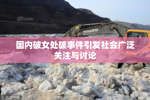 国内破女处破事件引发社会广泛关注与讨论