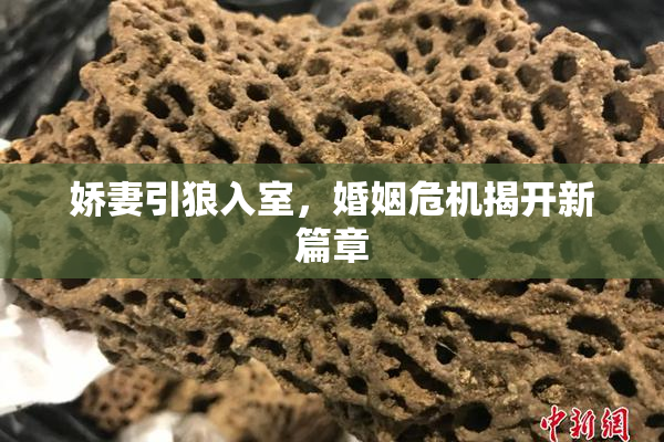 娇妻引狼入室，婚姻危机揭开新篇章