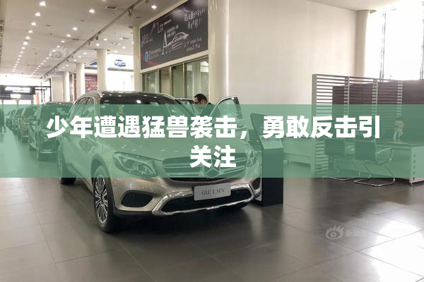少年遭遇猛兽袭击，勇敢反击引关注